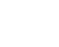 logo  de psitec